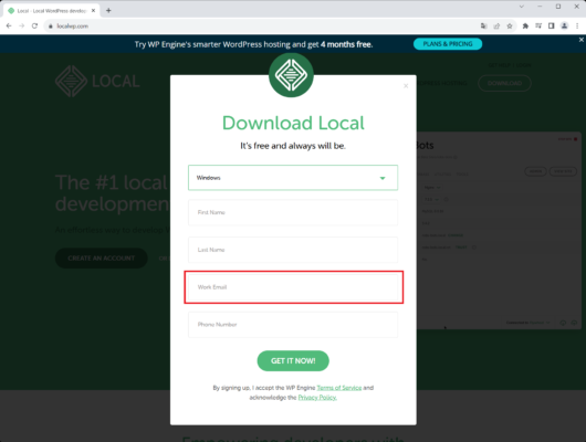 Download LocalEmail などの入力欄
