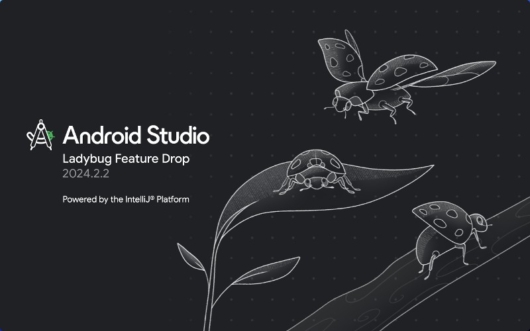 Android Studio Ladybug Feature Drop | 2024.2.2 起動時画面