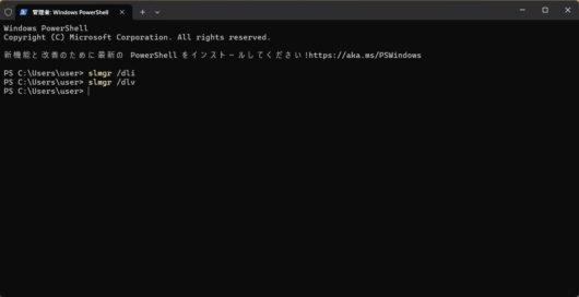 コマンドで slmgr /dli や slmgr /dlv を実行