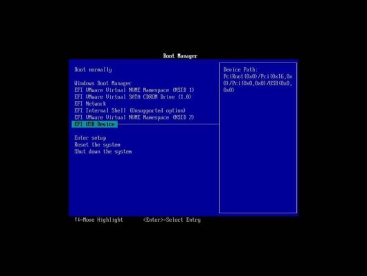 仮想マシンの Boot Manager に EFI USB Device が表示される