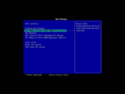 仮想マシンの Boot Manager で CDドライブを選択してブート