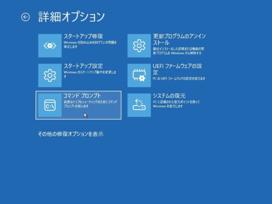 詳細ブートオプションで起動 - トラブルシューティング - 詳細オプションが表示されることを確認