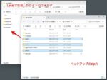 Local で作成したサイトのフォルダにバックアップのzip内のデータを移動する