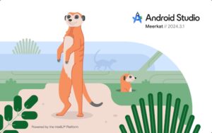 Android Studio Meerkat | 2024.3.1 起動画面