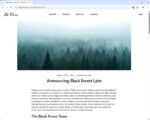 Announcing Black Forest Labs