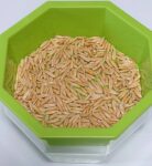 種の分量を量る