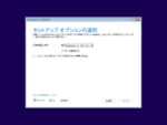 Windows 11 セットアップ - セットアップオプションの選択