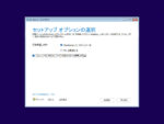 Windows 11 セットアップ - セットアップオプションの選択 - 同意